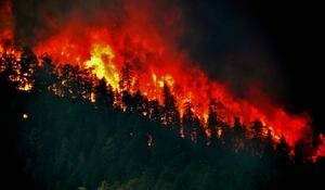 Antincendio in Sardegna, elicotteri in azione contro i roghi