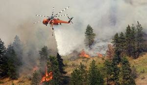 Elicotteri antincendio, un Erickson S-64 difenderà Los Angeles -VIDEO