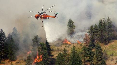Elicotteri antincendio, un Erickson S-64 difender� Los Angeles -VIDEO