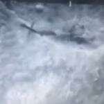 Il video dell'esplosione del Black Hawk in Colombia