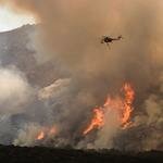Antincendio boschivo 2014, Lazio e Toscana pronte alle emergenze
